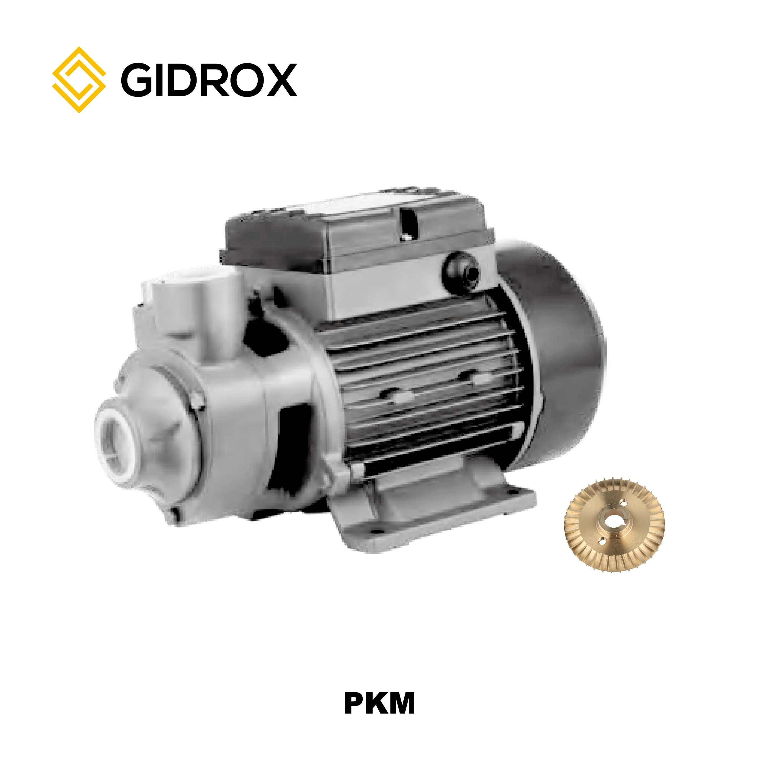 GIDROX PKm60-1 Copper Wire Household Transfer Clean Water Vortex  pump QB60 0.5HP Peripheral Water Pump