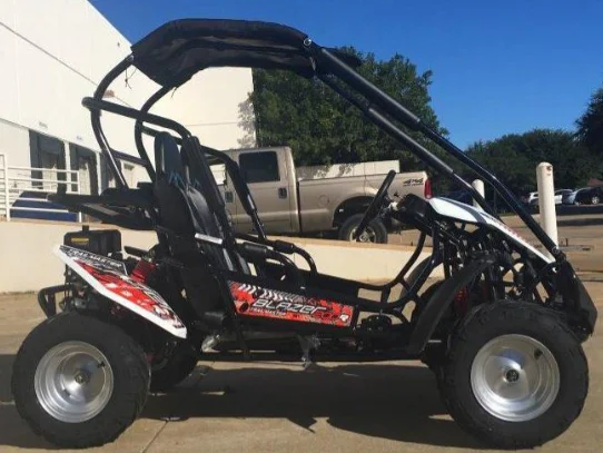 Buggypro Go kart stylish   2 seaters full size   go kart 150cc 200CC  buggy Trailmaster blazer model