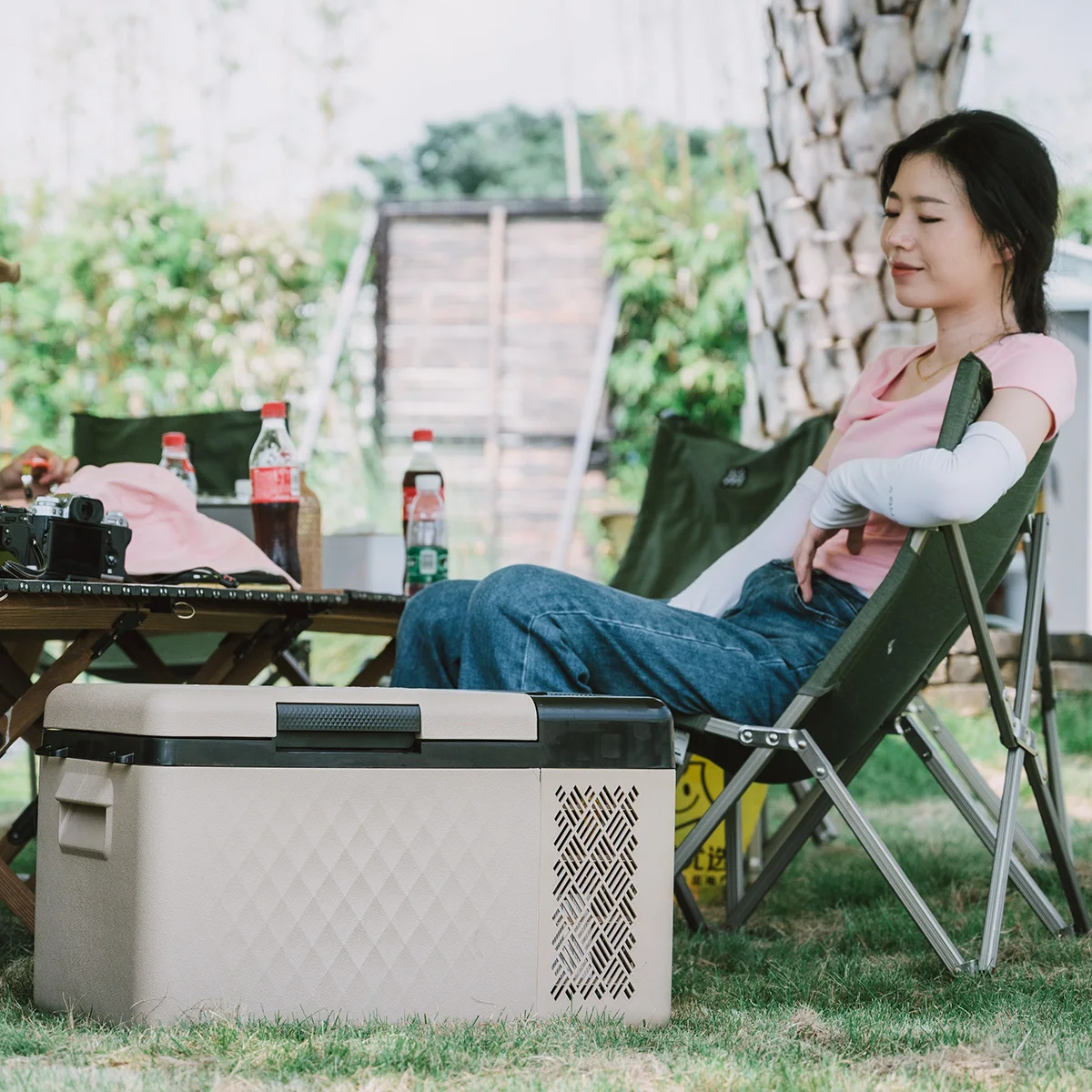 RT20 Hot sales 20l mini size car fridge 110v 12v 24v refrigerator and freezer with free customized packing