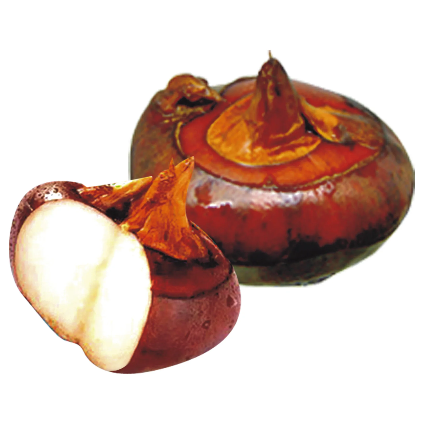 
Canned Water Chestnuts Whole peeled 