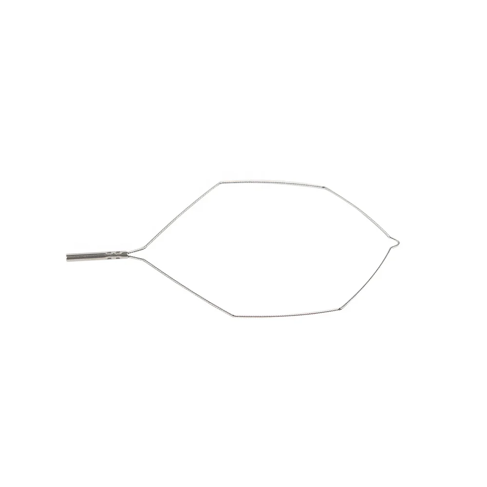 
disposable hot Polypectomy snare,Snare endoscope 