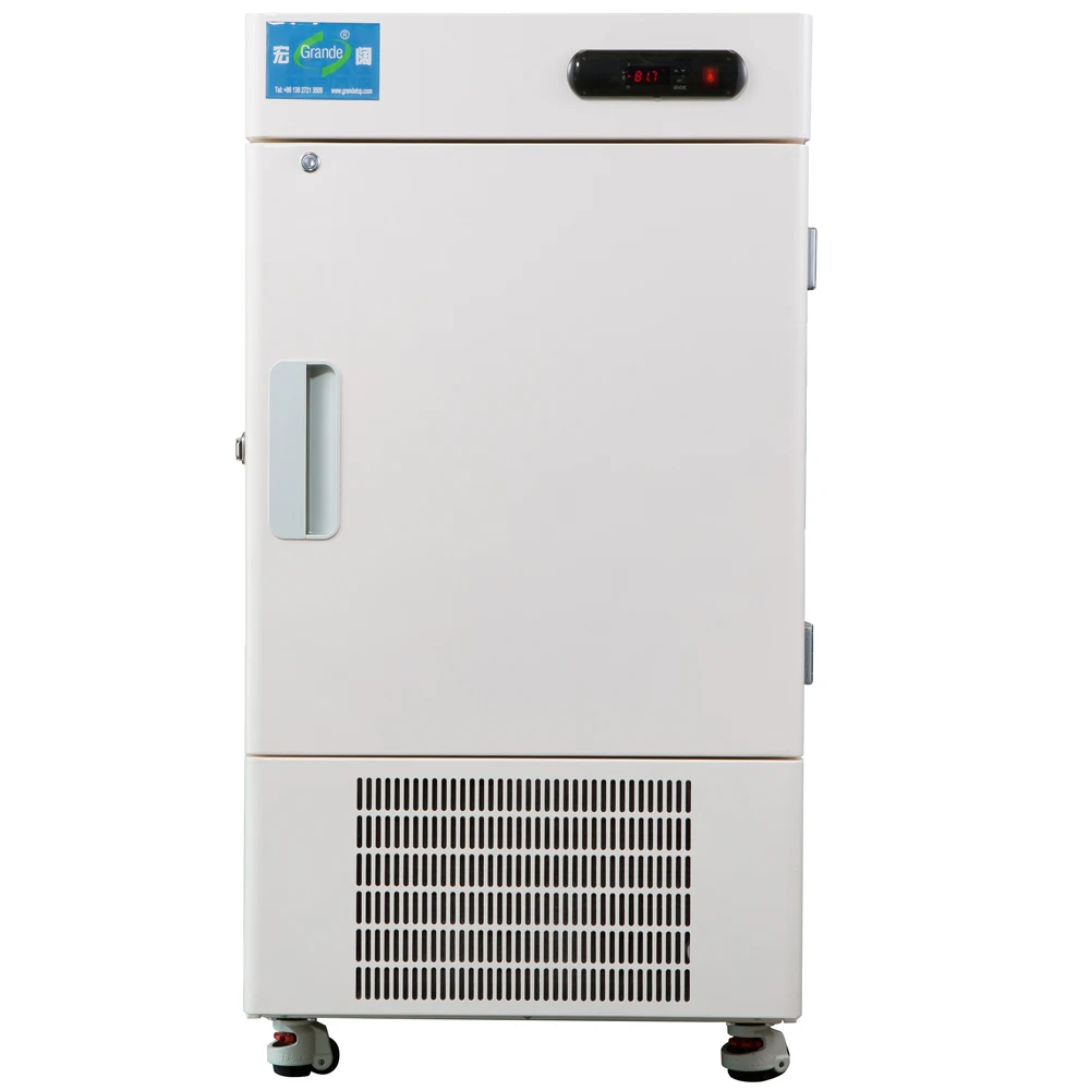 CE Certified Laboratory Medical Deep Freezer Cold Storage Chamber