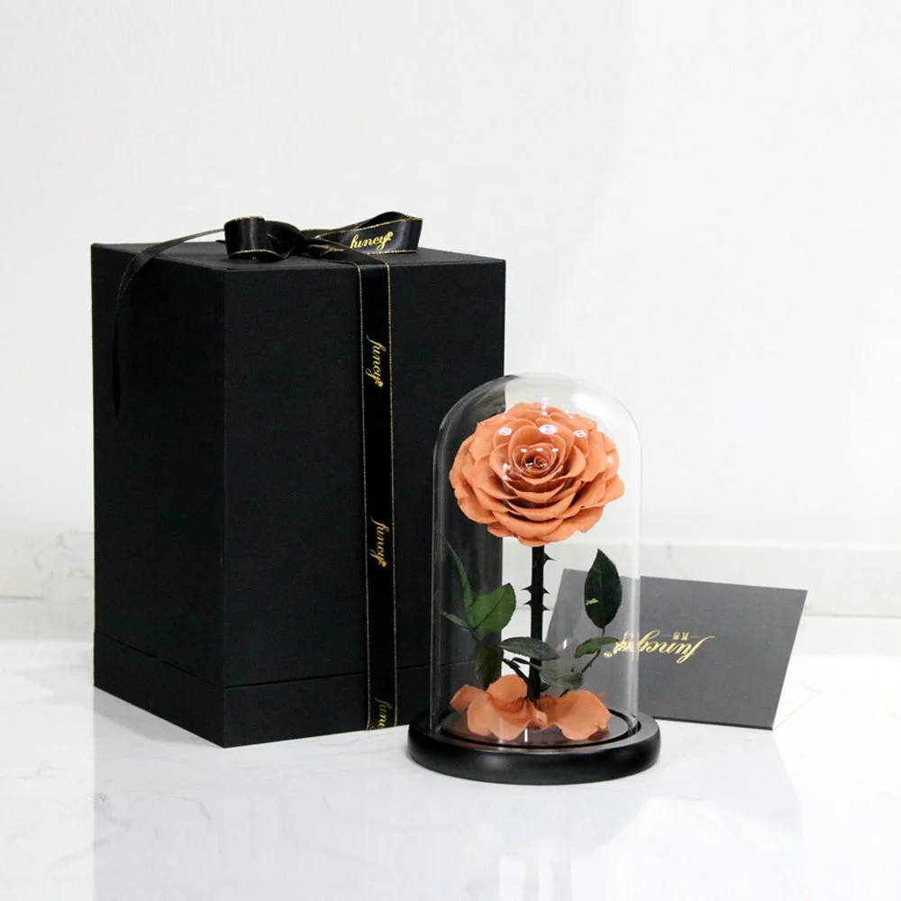 2019 Belle Enchanted Wholesale Preserved Roses Christmas Gifts Set Eternal Roses in Glass Dome
