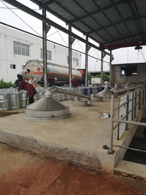
China Wholesale Wheat Germ Oil Capsule 