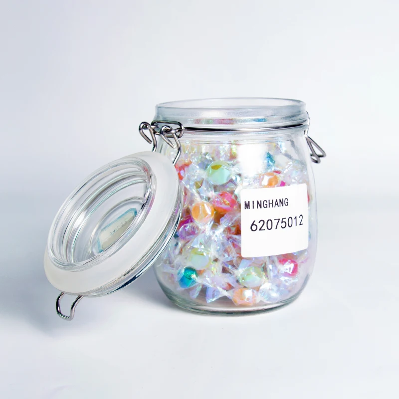 750ml 500ml Clear Kitchen Food Storage Flip Airtight Sealed Jar Glass Spice Canning Glass Clip Top Mason Jars with Lock lid