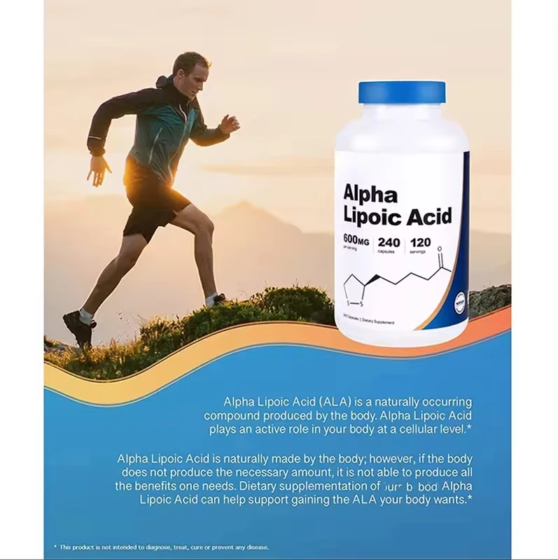 Private Label Vegan ALA Capsules Nootropics Brain Supplement Antioxidant Alpha Lipoic Acid Capsules for Blood Sugar