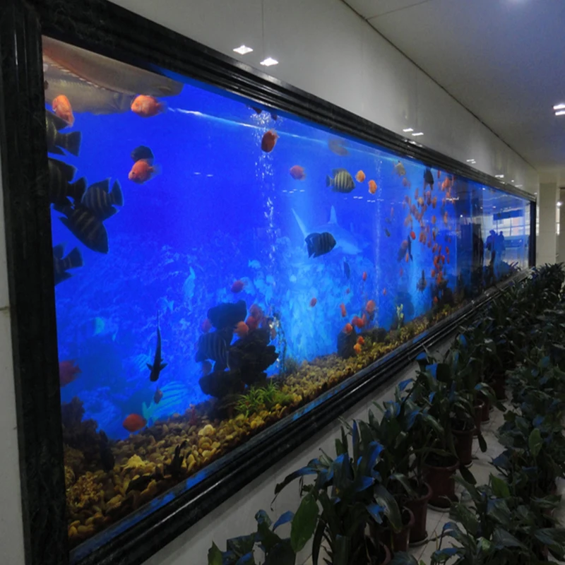 Hot sale product custom size high quality aquarium cabinet acrylic fish tank marine aquarium