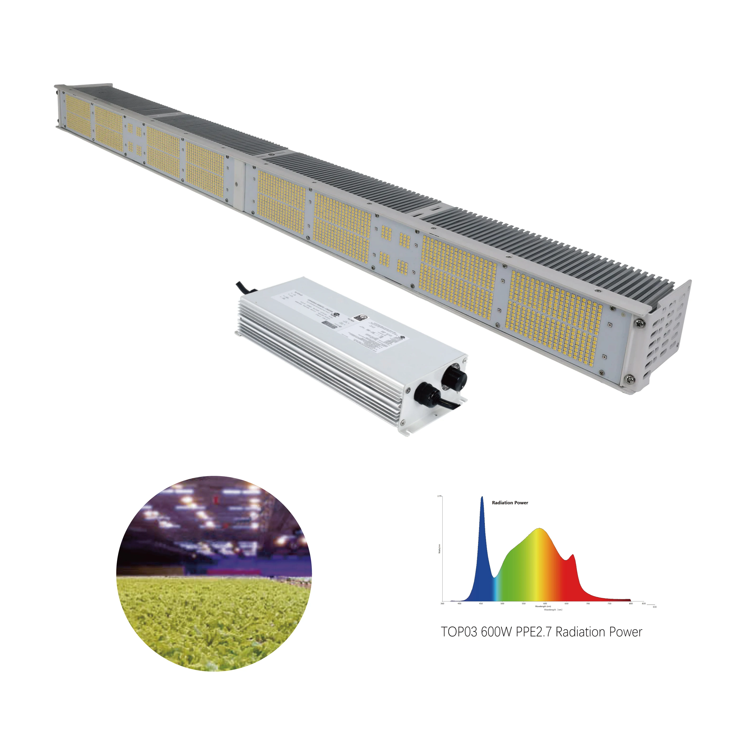 Manufacturer OEM 2.7 Umol/J  Slim Linear Type Indoor Garden Dimmable Full Spectrum Led Grow Light Bar 300w 600w