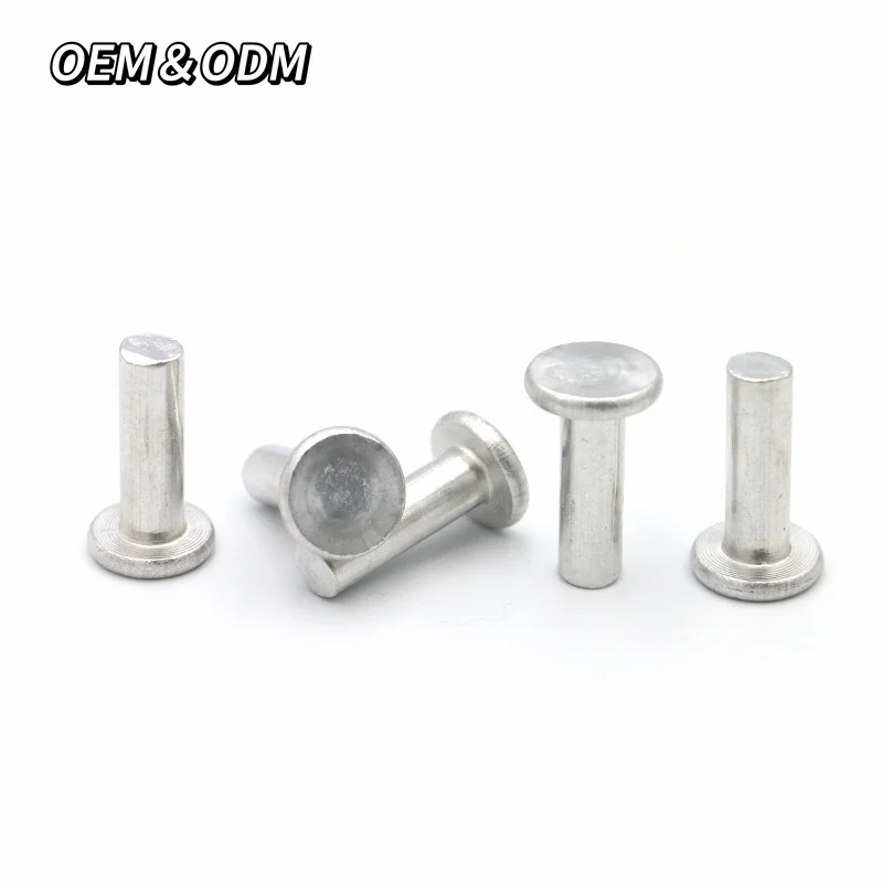 Best Selling Stainless Steel Rivet With Reasonable Price Diameter 3Mm 4Mm 5Mm 6Mm Round Head Solid Rivet