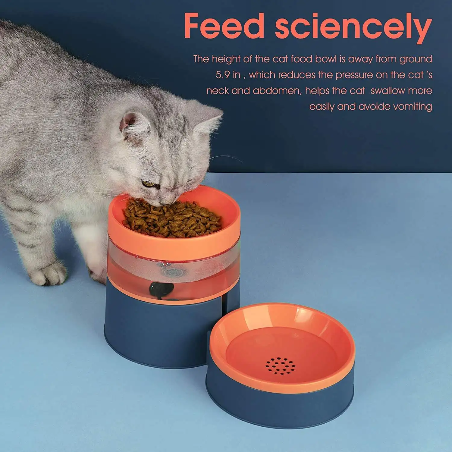 Amazons Best Sellers Pet Bowls & Feeders Pet Water Fountain Feeder Bowl for Cats and Puppies Waterer