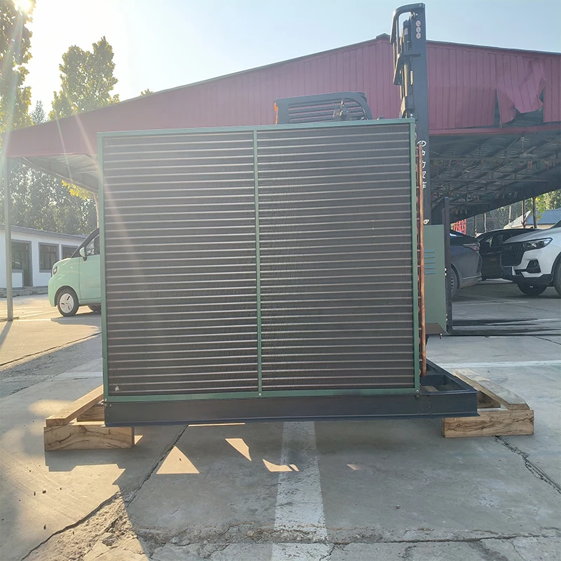 Cold Room Supermarket Warehouse Commercial Bitzer Compressor Condensing Unit for freezer room