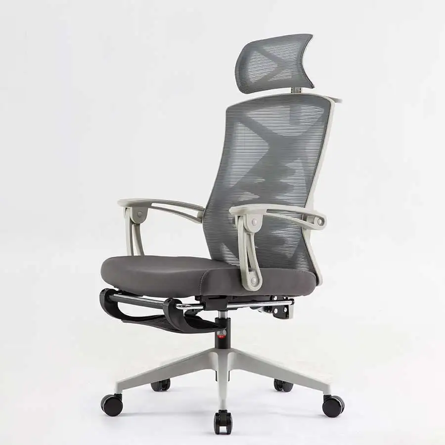 Branch Review mesh ergonomic chair with footrest SIHOO lumbar ergonomic chair Hanger office ergonomic chair