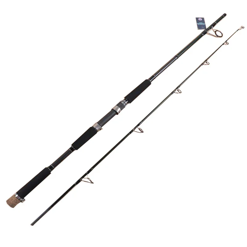 High Quality Fishing Boat Rod Two Sizes Carbon Fiber Fishing Rods FUJI Components Rod Casting Fishing