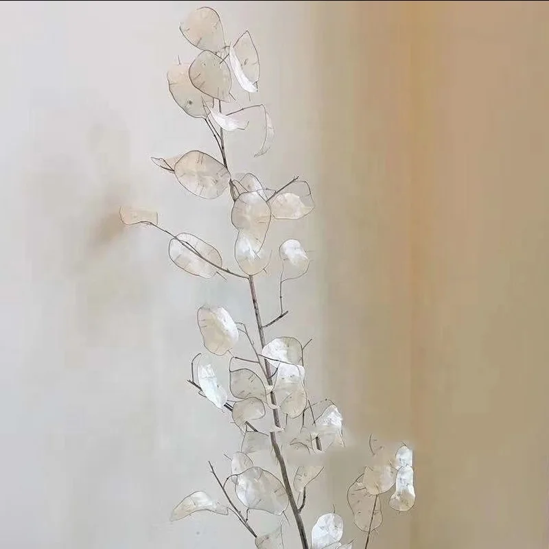 natural dry flower bouquet wholesale preserved decorative real dried flowers lunaria annua