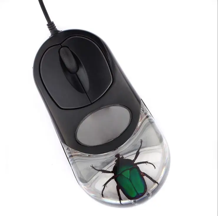 Special Novelty Resin Crystal Specimens Personality Computer Mouse with Real Insect