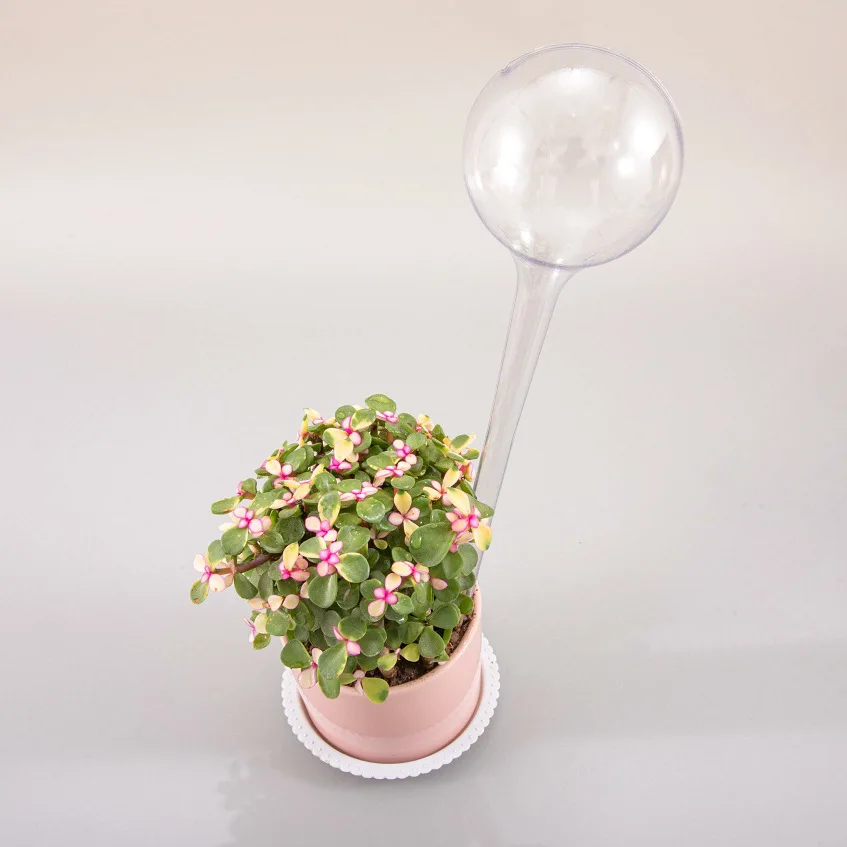 5 L 1Pc Automatic Plant Watering Bulbs Self Watering Globe Balls Water Device Drip Irrigation System for Garden Flower Plants