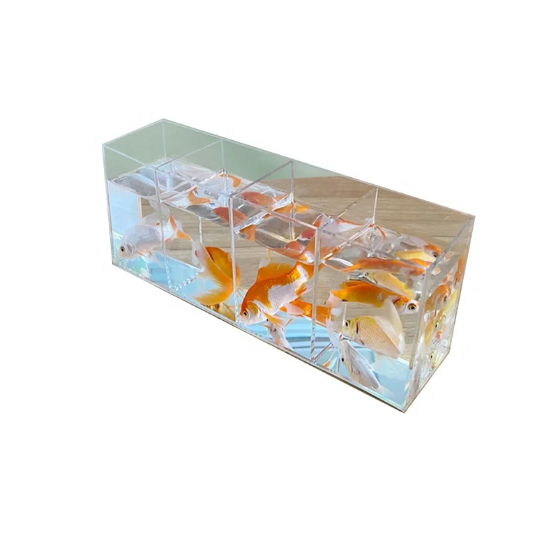 Clear Plastic Fish Tank Customized Small Aquarium No Leaking With LED High Transparent