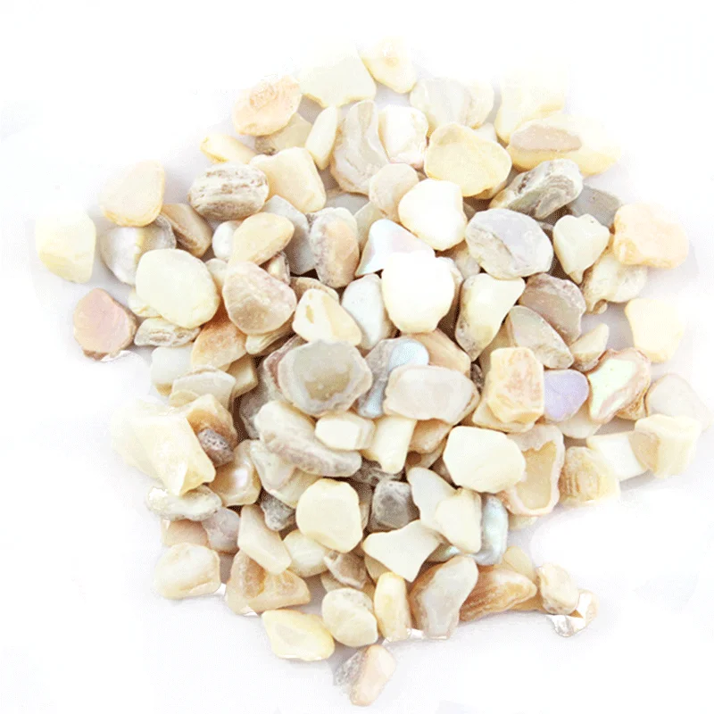 Crushed Sea Shell Mother of Pearl for Terrazzo