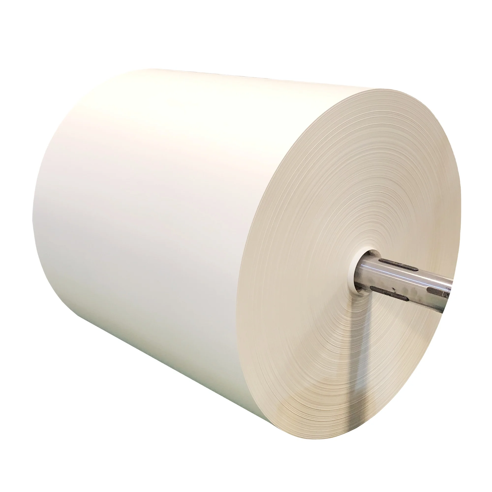 ECO Friendly 150gsm to 350gsm Disposable Biodegradable Paper Cup Raw Materials Paper Rolls Factory wholesale