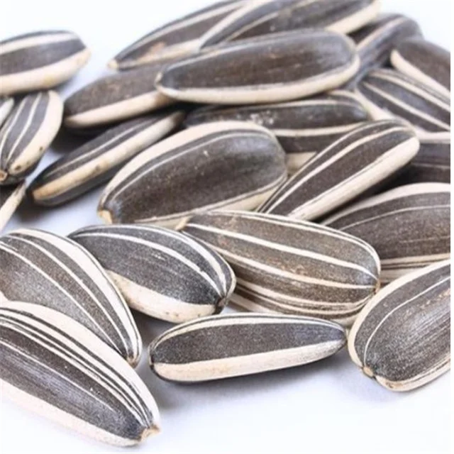 Inner Mongolia wholesale white striped price per ton sunflower seeds 361 601 363