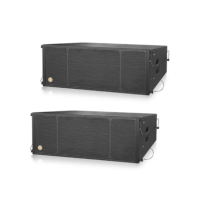Professional Audio Passive Subwoofer Dual 12 Inch With Built-in Amplifier Module For Speaker System