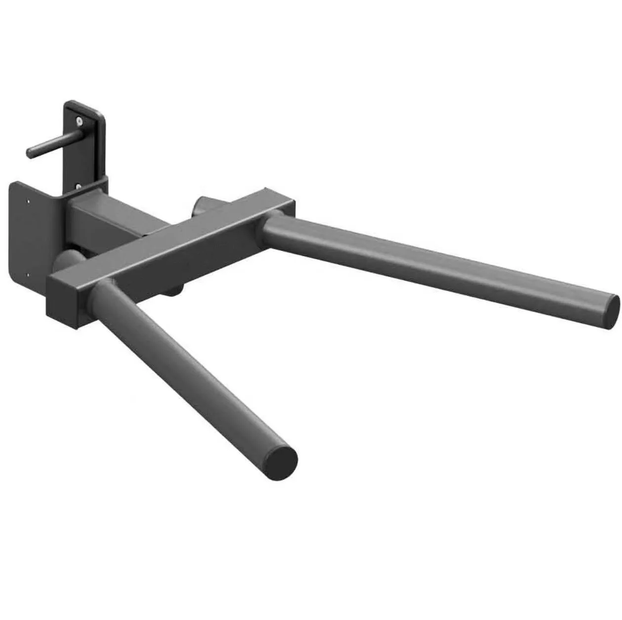 Strength Training Gym Fitness Accessories Dip Bars Rack