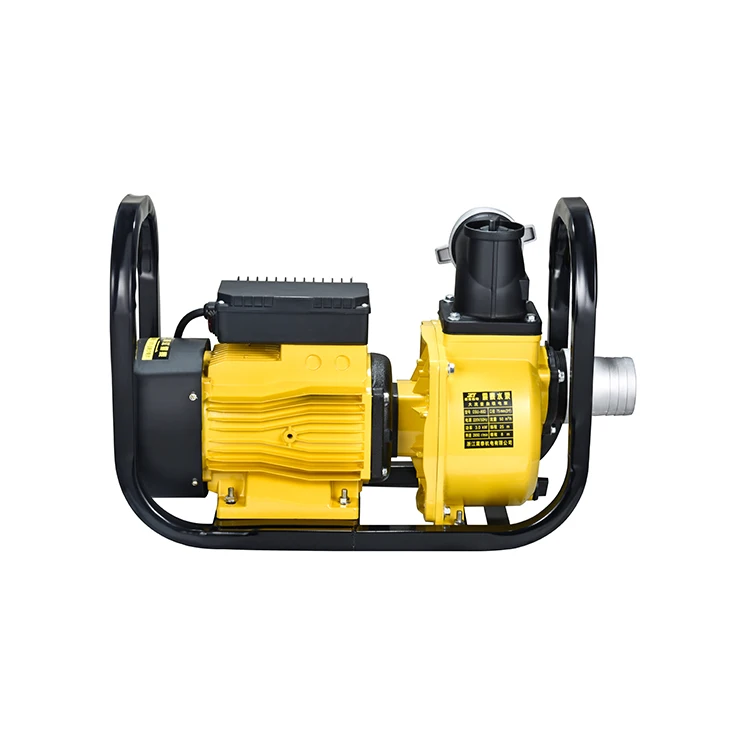 Agricultural 220V/380V 50Hz 3.5Hp Centrifugal Electric Pond Water Pump Irrigation Pump