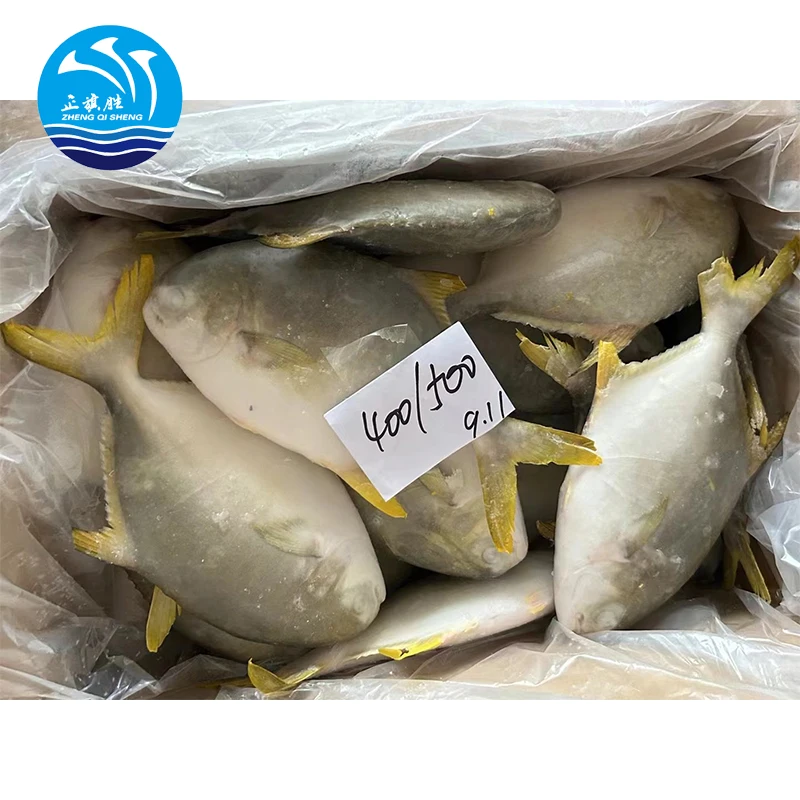 Frozen Fish Chinese Seafoods Golden Pompano Fish Golden Pomfret 300-400g 10kg/ctn with 24 Months Shelf Life