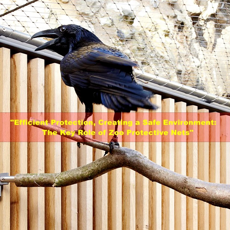 Supplier Good Aesthetic Bird Sanctuary Fencing For Wildlife Park