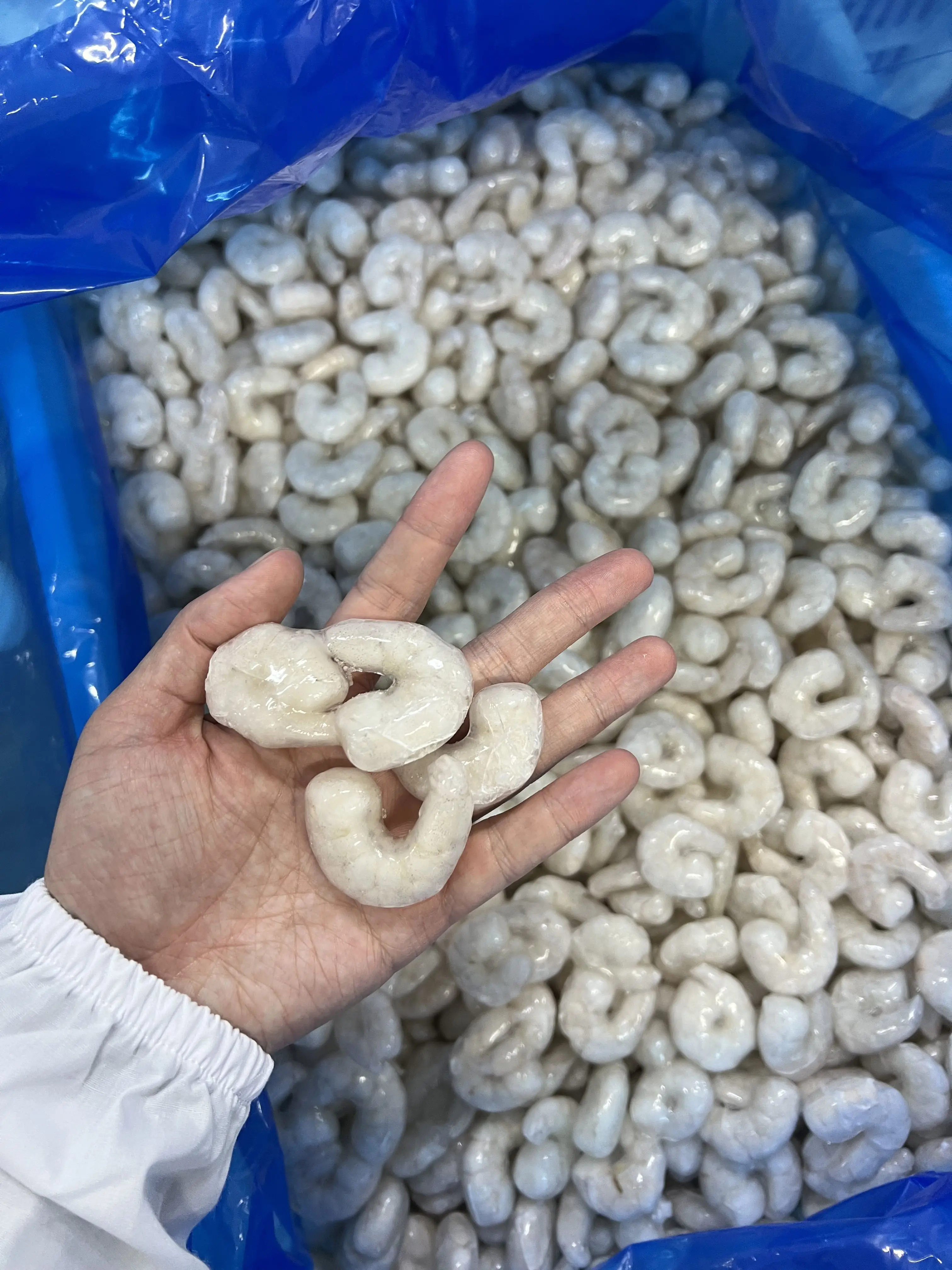 Frozen Seafood Fresh Frozen white shrimp PD vannamei shrimp