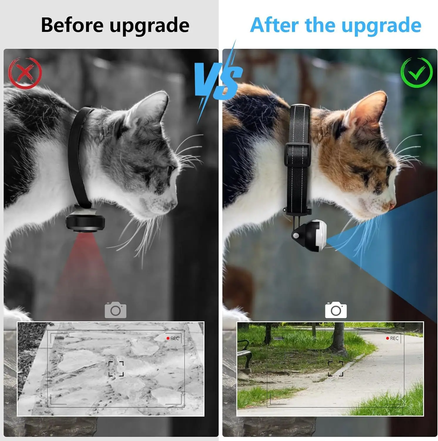 Kingtale Custom Dog Accessories Mini Body Cam Indoor Outdoor Wireless Cat Collar Camera
