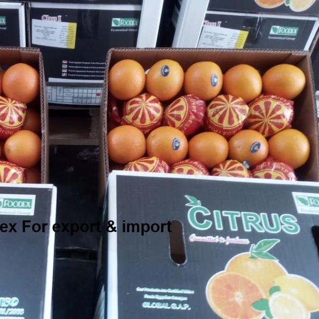 fresh navel orange from Egypt Top GRADE 2020 For Malta