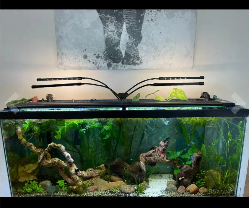 Wholesale Four Head Usb 18W 36W 50W Vertical Farming Hydroponic Flexible Clip On Phyto Fito Lamp Led For Plants Seedlings Flower