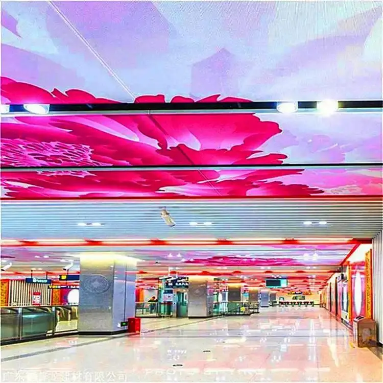 Colorful Decorative Perforated Sheet Metal Doors Panels