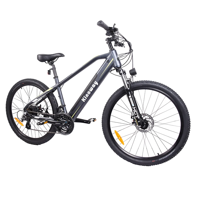 
OEM/ODM factory price 250W 350W electric hybrid bike in european warehouse with CE 