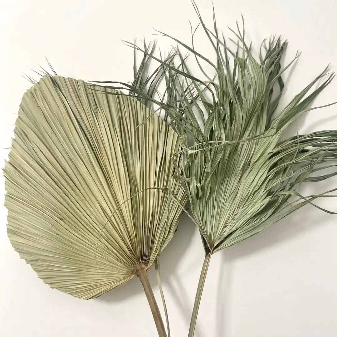 Palm Leaf Decorative Flowers  Natural Dried Palm Leaves for Wedding Home Decor