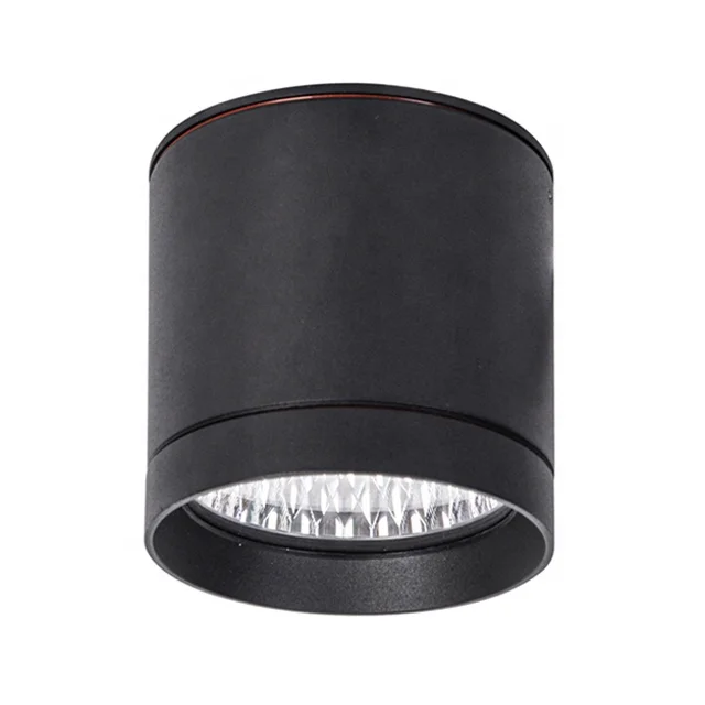 10-20W IP65 Die Cast Aluminum Outdoor Ceiling Surface Mounted LED Down Light