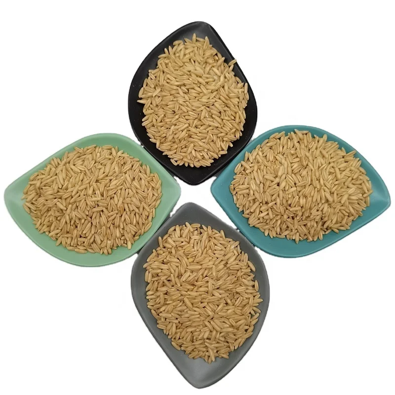 China Top Quality Wholesale Oat Groats/Oats Grain/Oat Without Shell for Sale at Cheapest