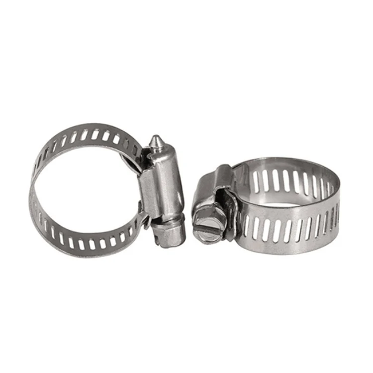 Double Wire Hose Clamp 5mm Single Ear Stainless Steel Pipe Clamps Heavy Duty