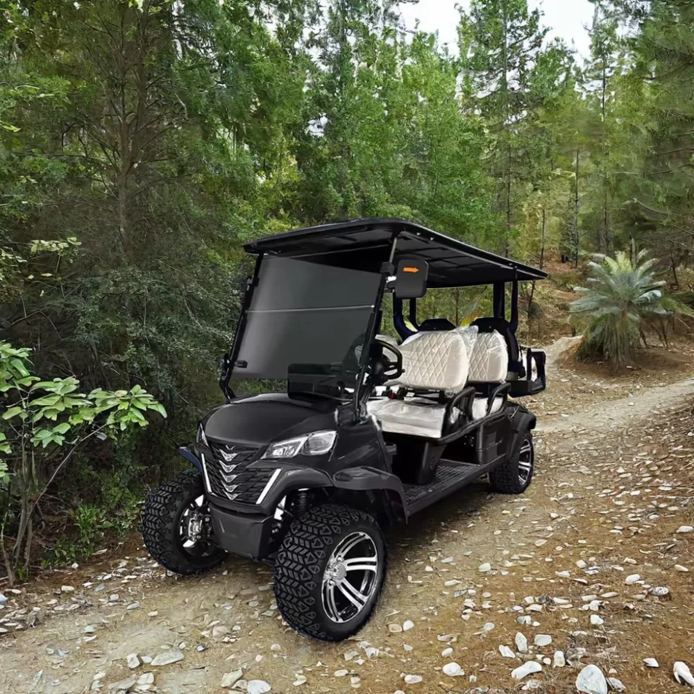 Tong Cai  mirrors set street legal kids 48v motor  Powerful 5Kw Ac Motor Electric Lithium Battery Powered Golf Cart