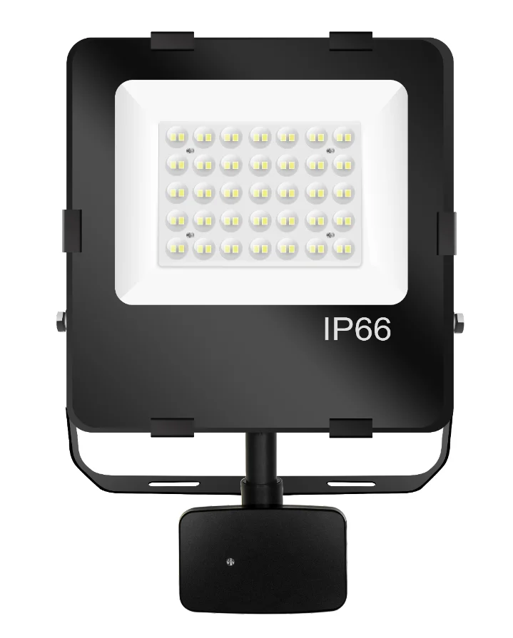 High Lumen Aluminum Outdoor Waterproof Floodlight 100W SMD Garden Sport LED Flood Light