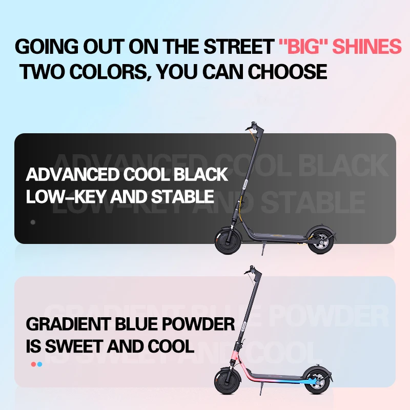Ninebot F30 Plus High speed for 25km/h electric scooter manufacturers cheap price adults electric scooter