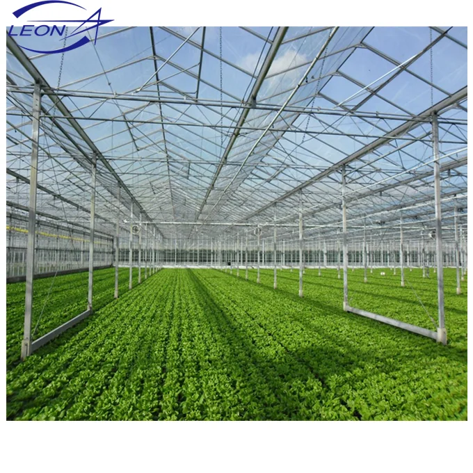 
Leon series best price hot sale plastic film and polycarbonate sheet greenhouse for sale 
