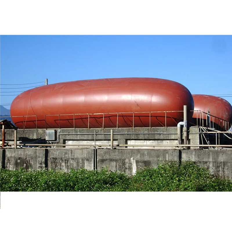 biogas plant for electricity biogas storage balloon bag equipment system bio digester for pig cow farm biogas conversion kit