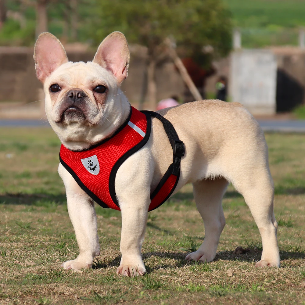 Dog vest harness pet harness collar and leash set cat reflective private label dog harness