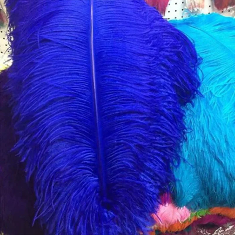 Wholesale 15-80 cm 6-32 inch Plumas de Avestruz Baratas