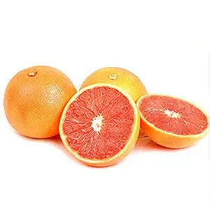 Hot selling high-quality grapefruit powder and grapefruit extract