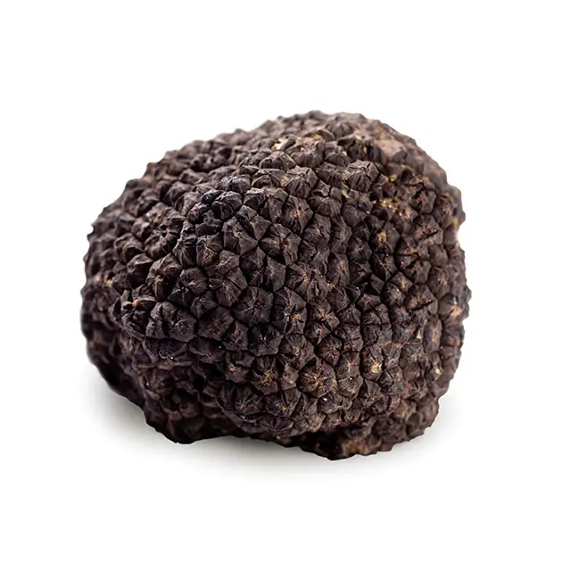 China wholesale black truffle arch truffle wild fungus