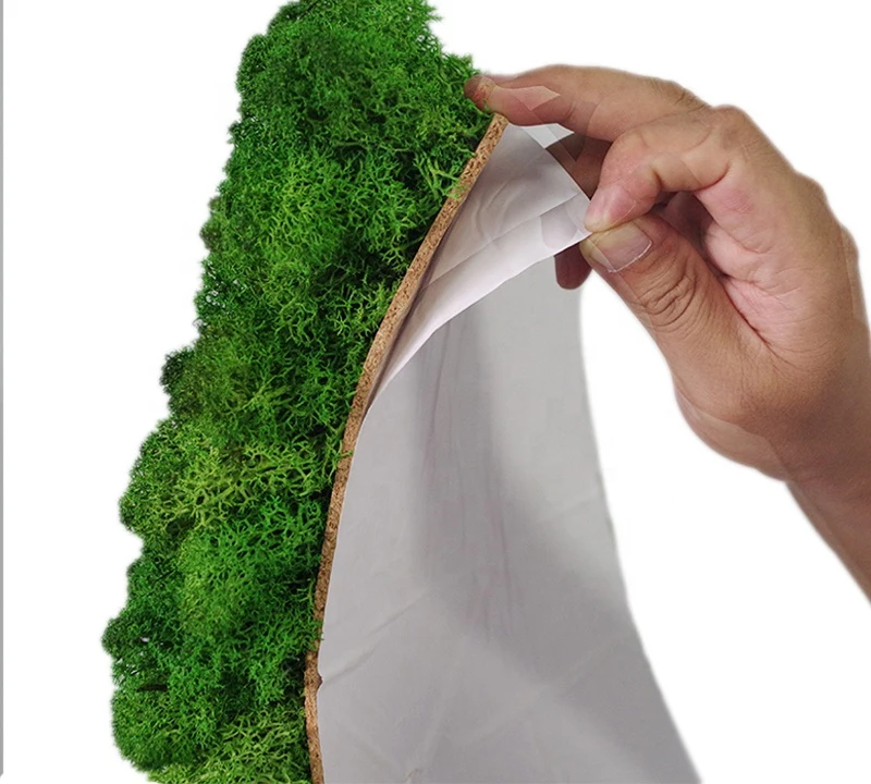 Christmas Wall Decor Preserved Stabilized Reindeer Moss Panel real natural moss wall panel