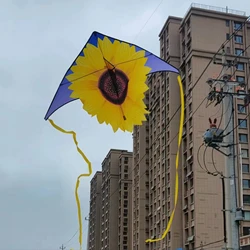 Wholesale Polyester Fabric Kite Cloth Delta Shape With Good Quality